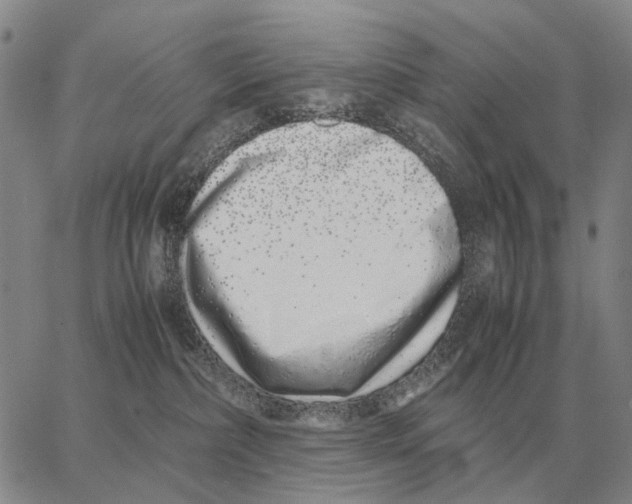 X0000062880236200602031749