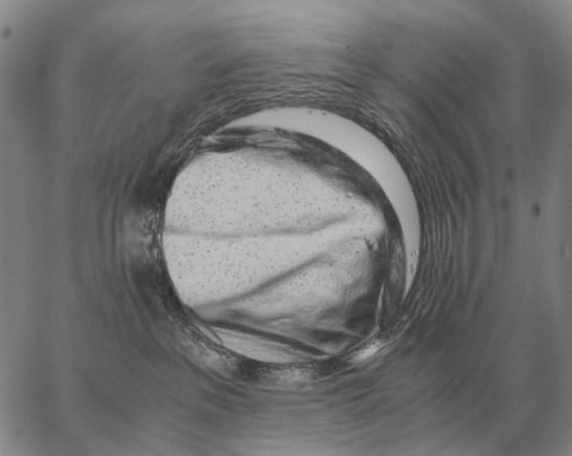 X0000062880237200602031749
