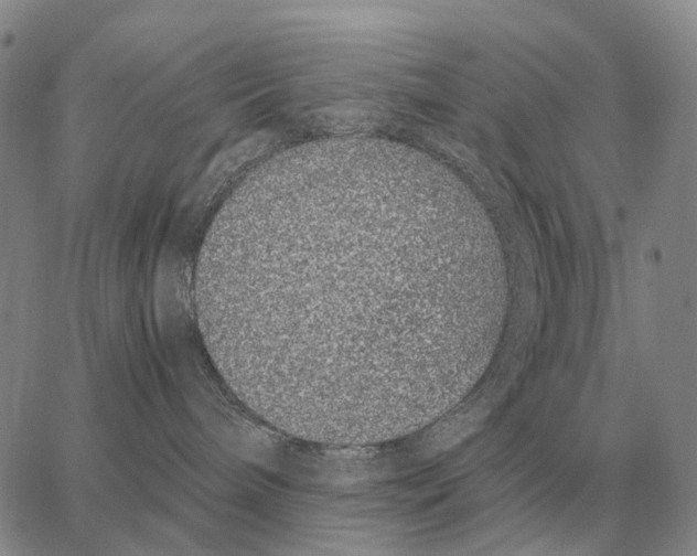 X0000062880240200602031749