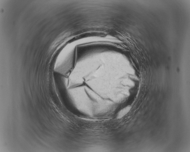 X0000062880243200602031749