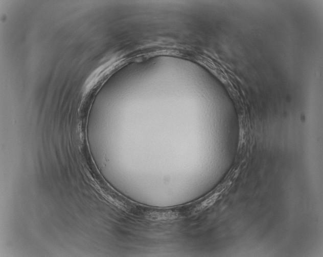X0000062880245200602031749