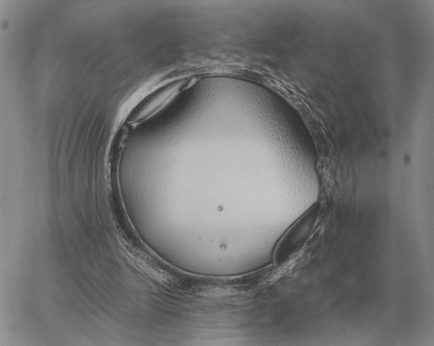 X0000062880246200602031749