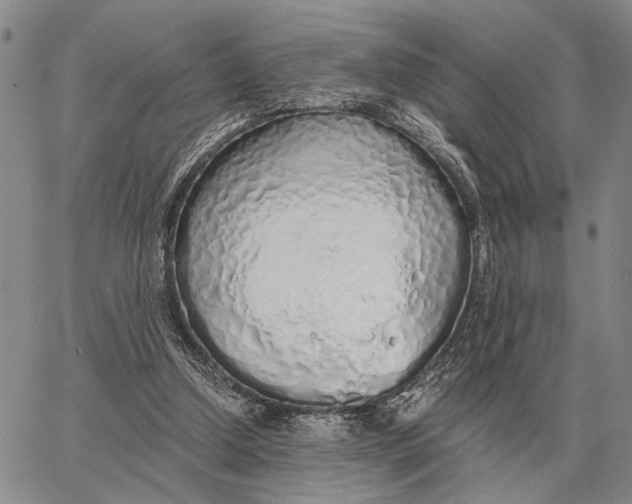 X0000062880250200602031749