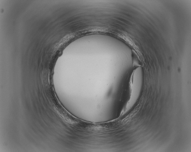 X0000062880253200602031749