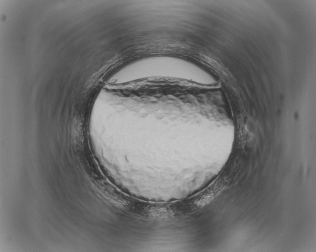 X0000062880258200602031749