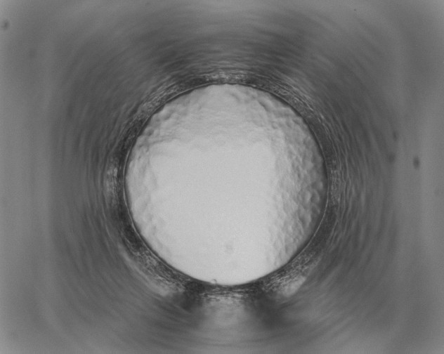 X0000062880263200602031749