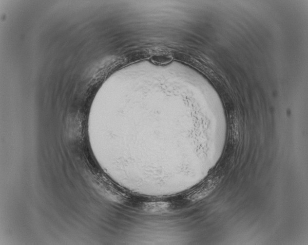 X0000062880266200602031749
