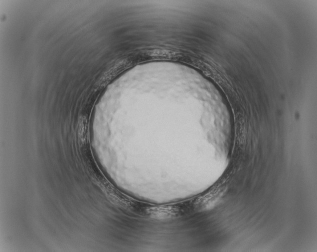 X0000062880273200602031749