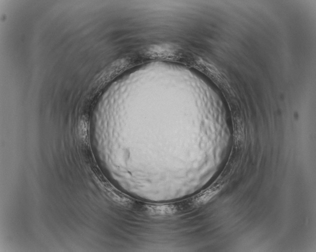 X0000062880281200602031749