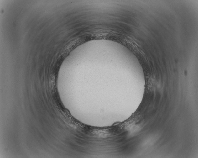 X0000062880283200602031749