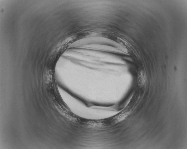 X0000062880284200602031749