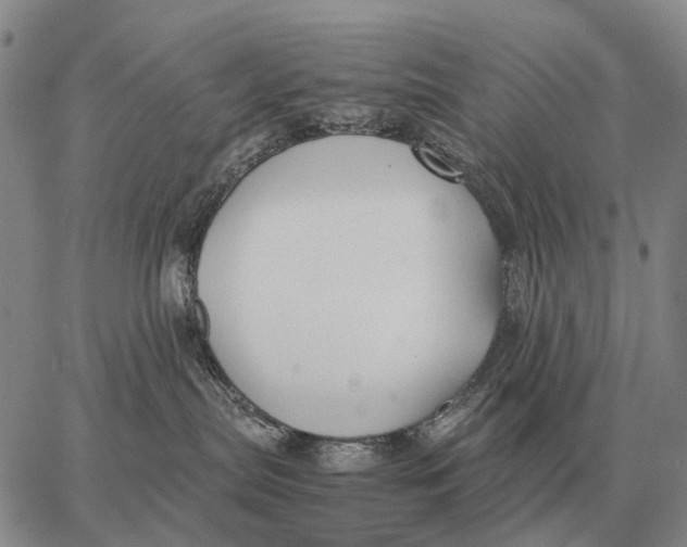 X0000062880287200602031749