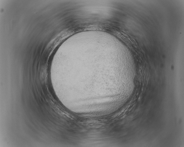 X0000062880290200602031748