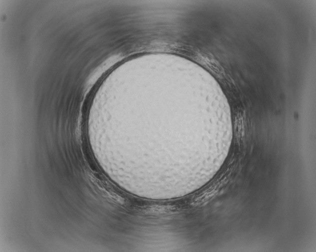 X0000062880292200602031748