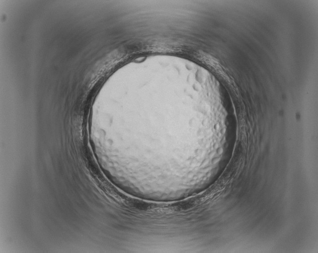X0000062880299200602031748