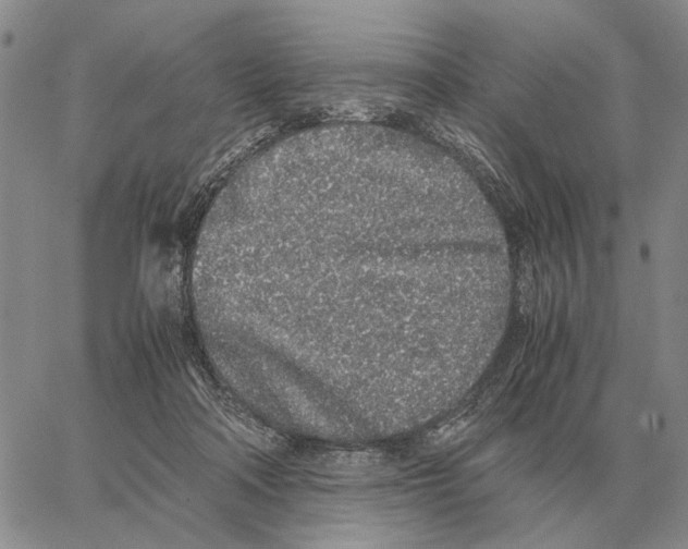 X0000062880314200602031748