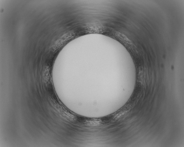 X0000062880318200602031748