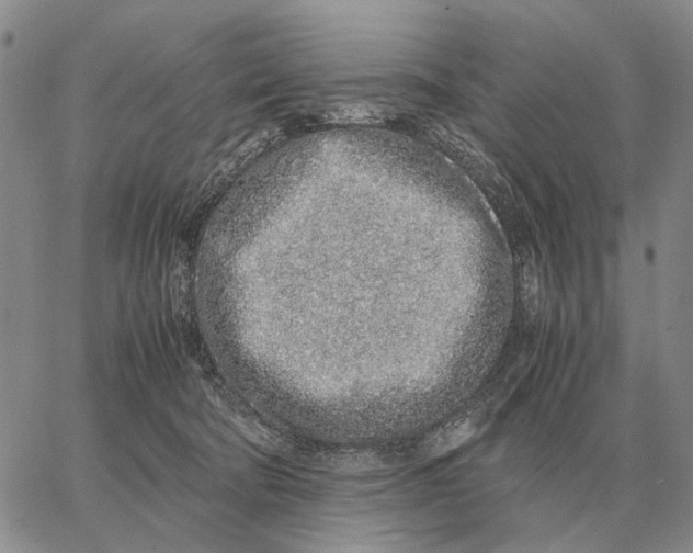 X0000062880322200602031748