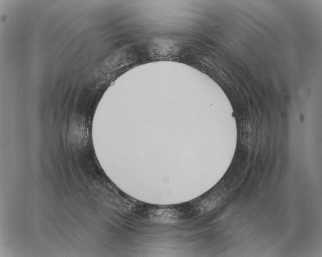 X0000062880324200602031748