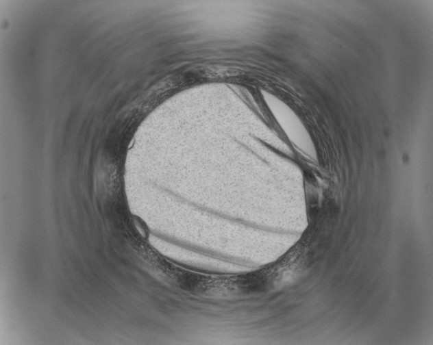 X0000062880327200602031748