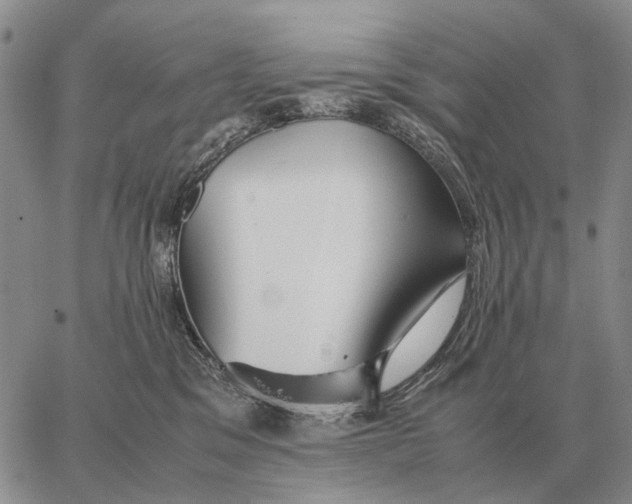 X0000062880329200602031748