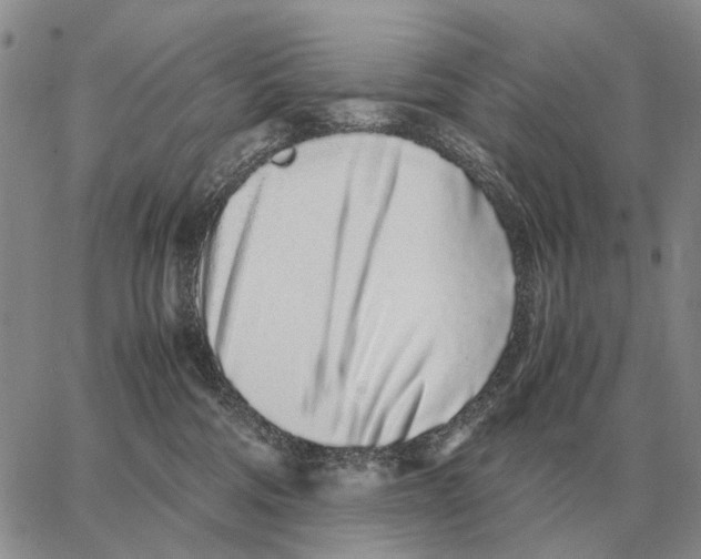 X0000062880330200602031748