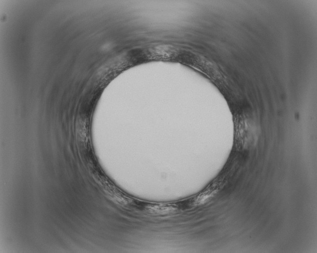 X0000062880331200602031748