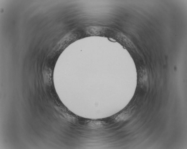 X0000062880332200602031748