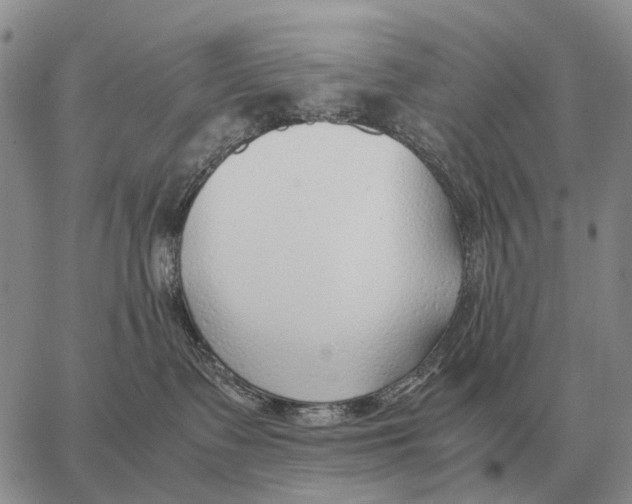X0000062880335200602031748
