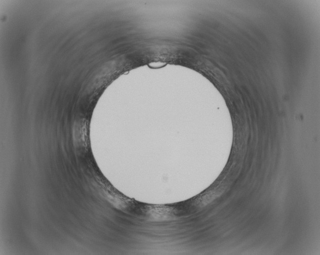 X0000062880336200602031748