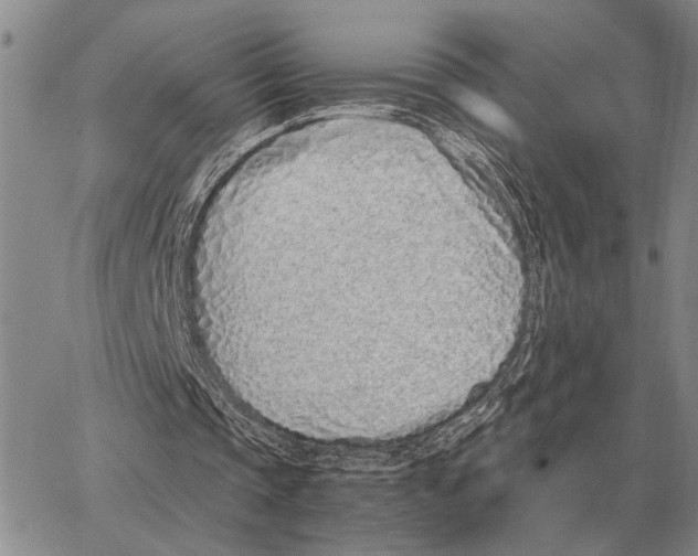 X0000062880337200602031747