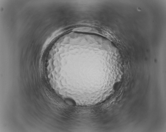 X0000062880343200602031747