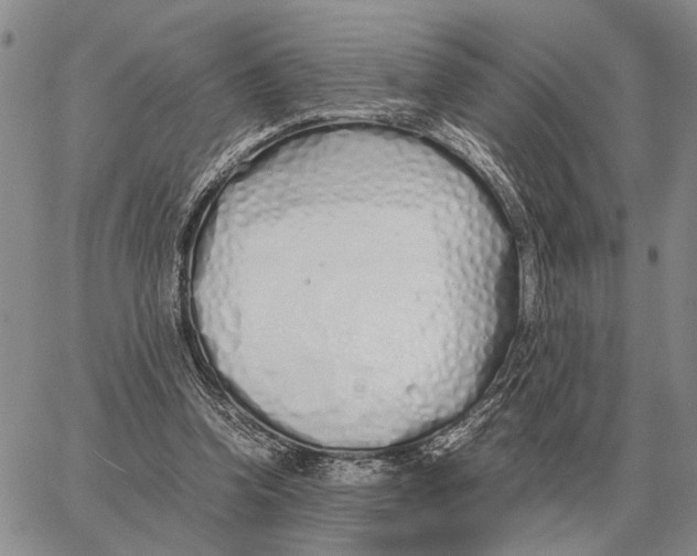X0000062880346200602031747