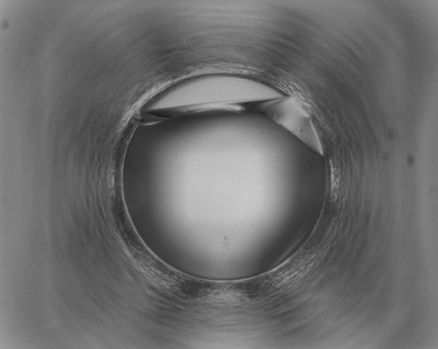 X0000062880348200602031747
