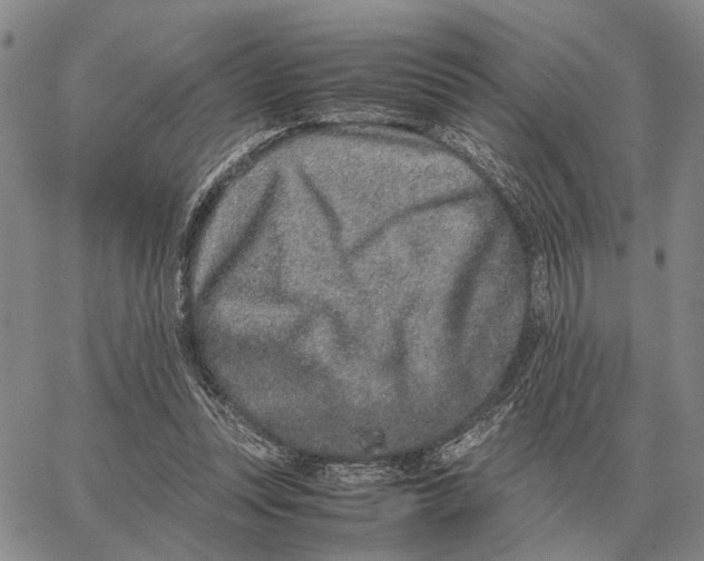 X0000062880351200602031747