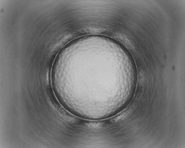 X0000062880358200602031747