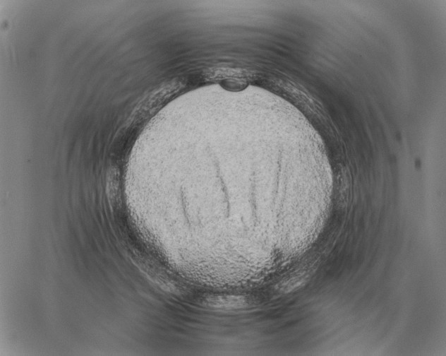 X0000062880361200602031747