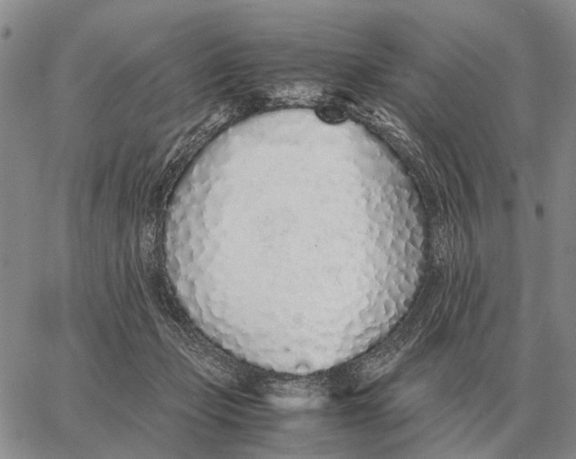 X0000062880365200602031747