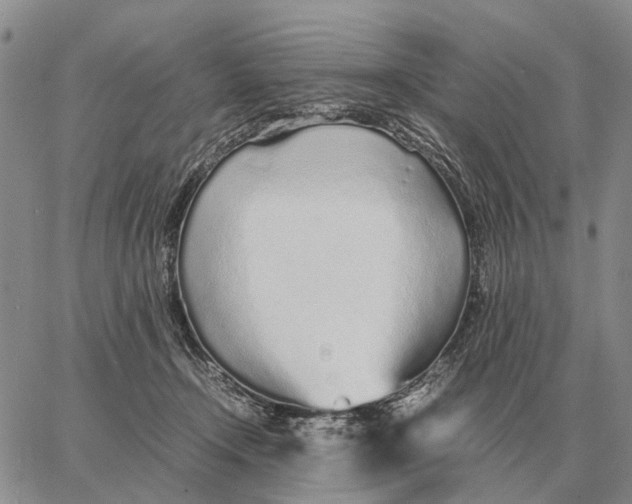 X0000062880366200602031747