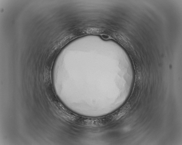 X0000062880367200602031747