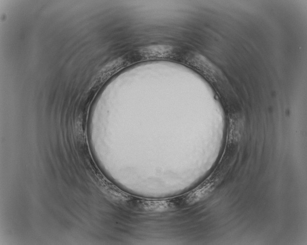 X0000062880377200602031748