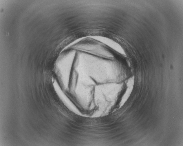 X0000062880383200602031748