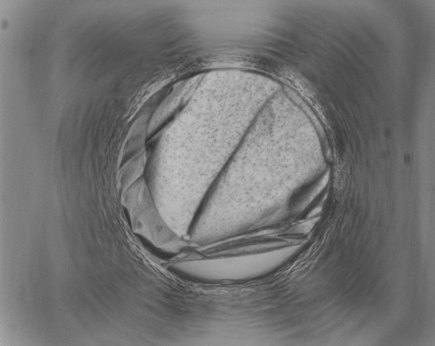 X0000062880385200602031747