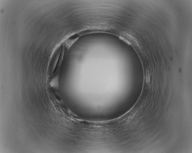 X0000062880388200602031747