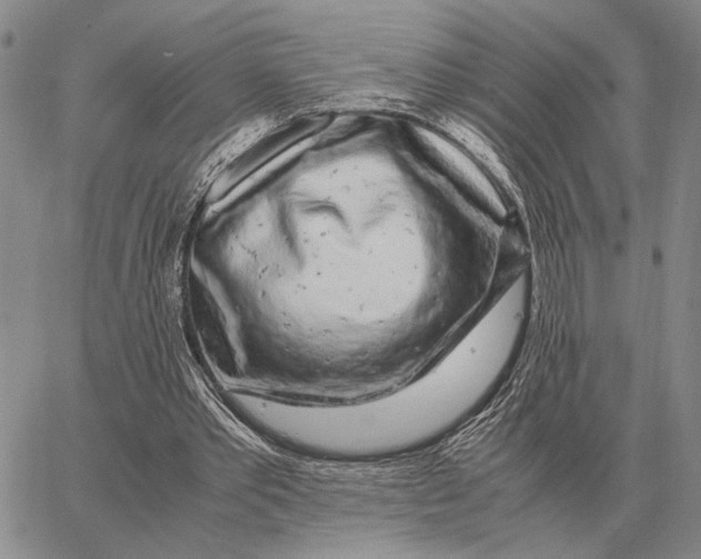 X0000062880389200602031747