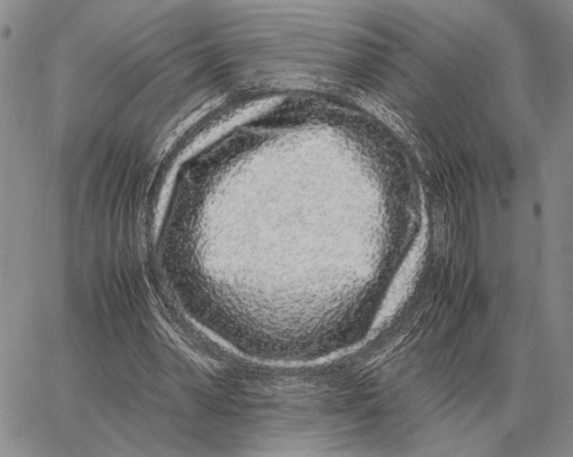X0000062880390200602031747