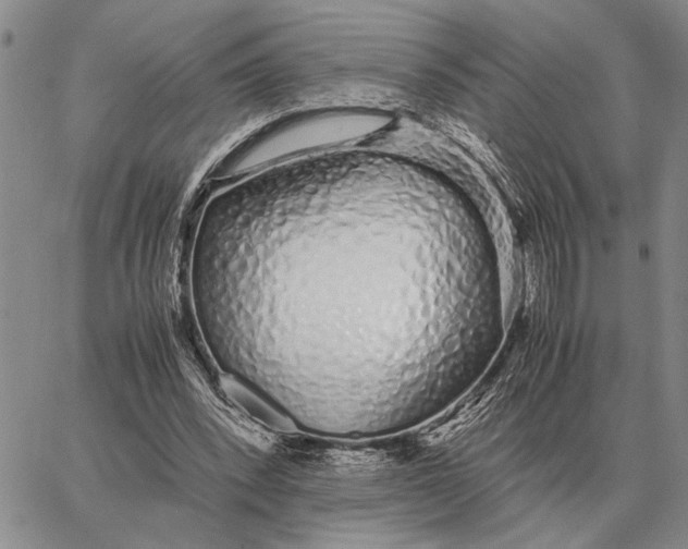 X0000062880392200602031747
