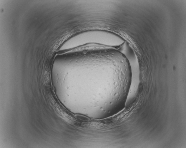 X0000062880393200602031747