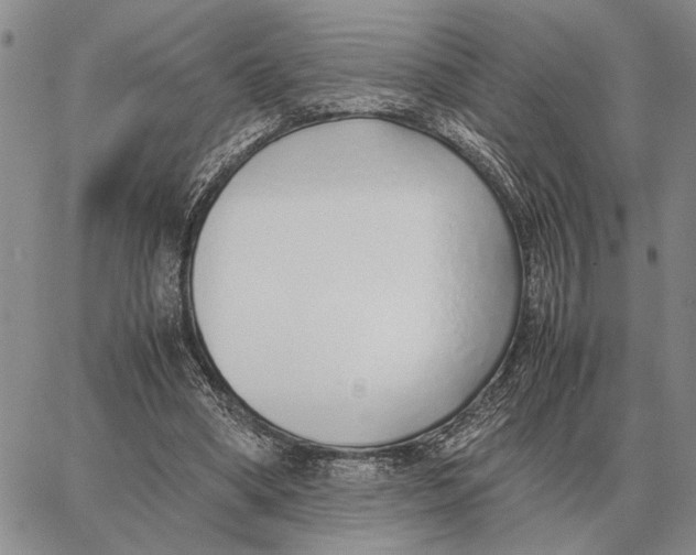 X0000062880394200602031747