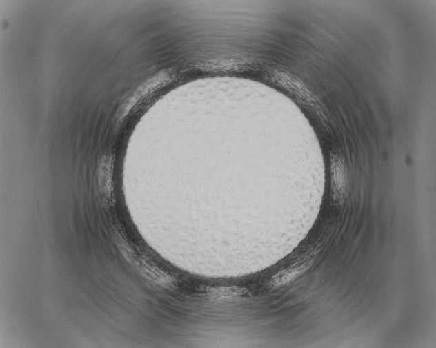 X0000062880396200602031747